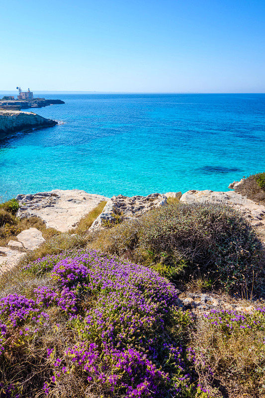 Favignana, Aegadian群岛，意大利西西里岛